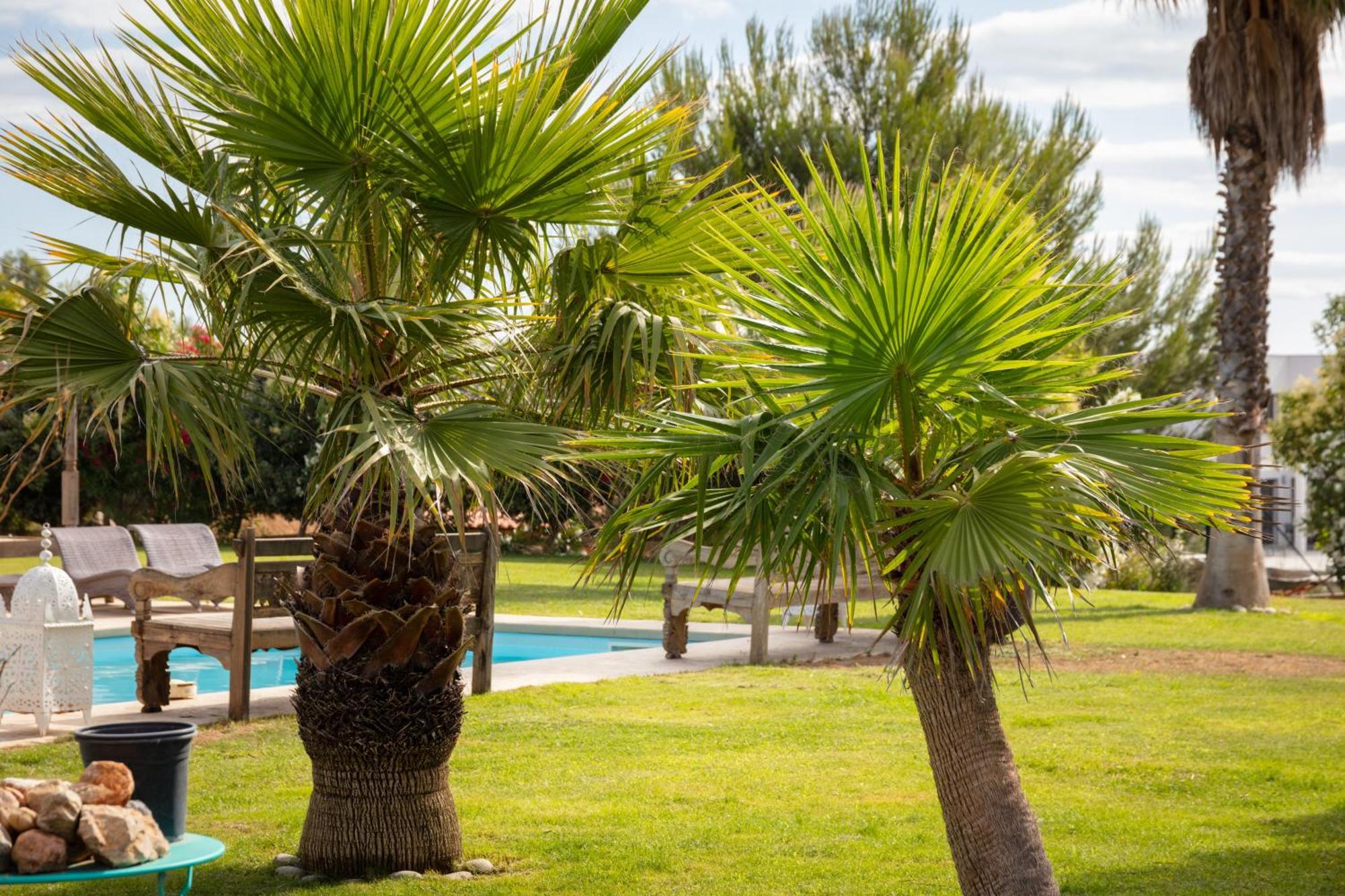 Escapades Lointaines Bed & Breakfast Перпинян Екстериор снимка