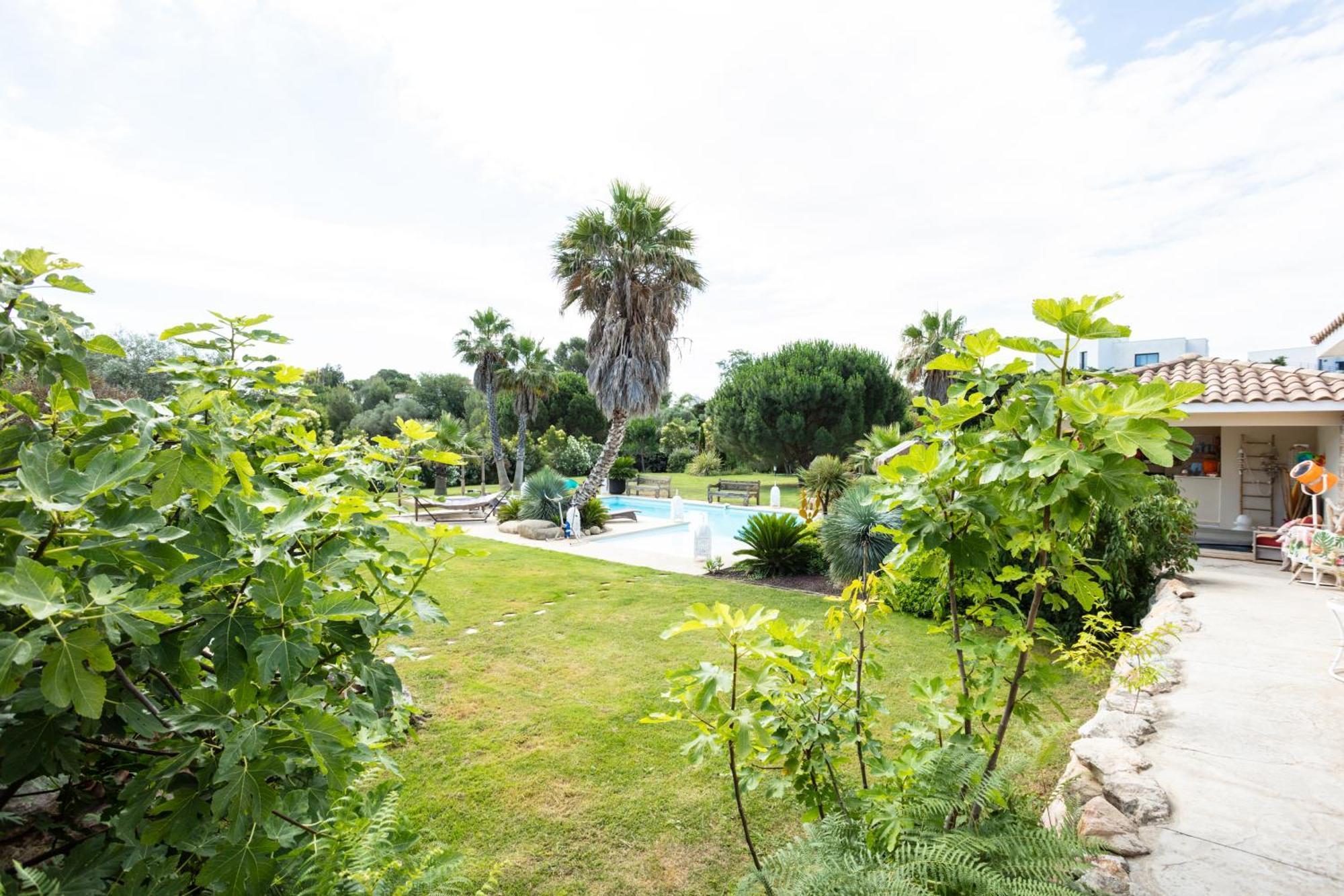 Escapades Lointaines Bed & Breakfast Перпинян Екстериор снимка